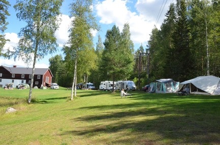 Wildlife Sweden Camp Ängra