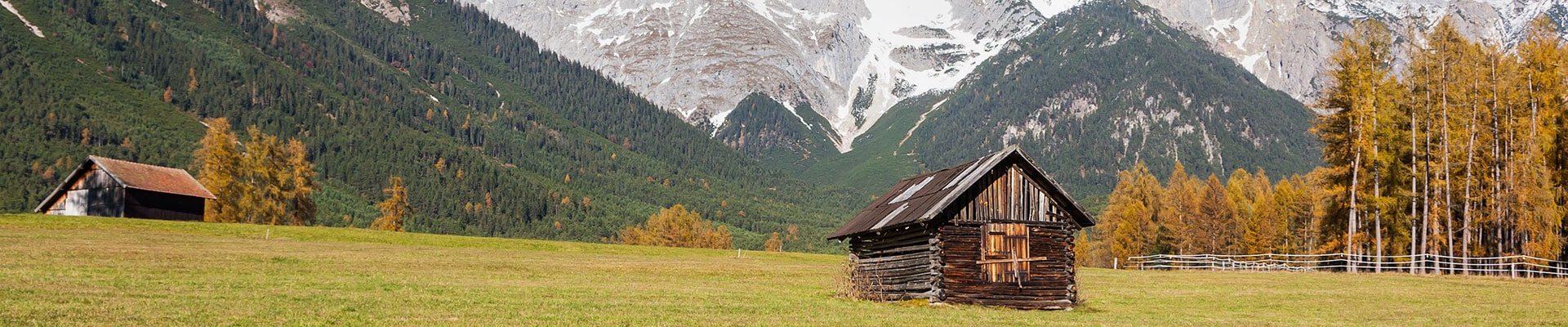 Header Image