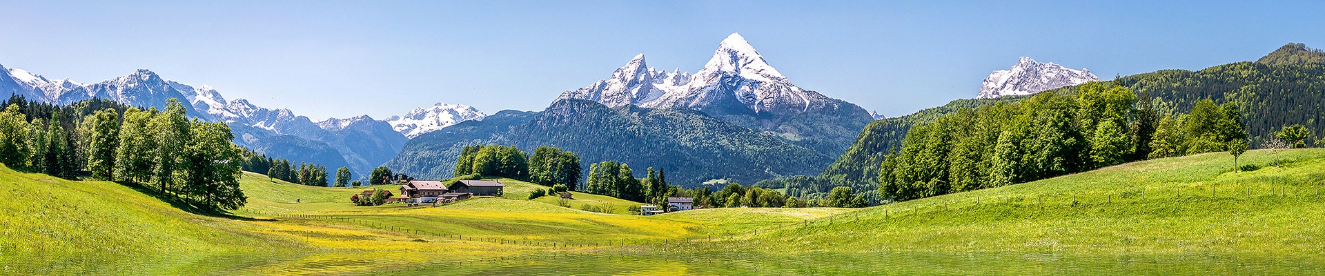 Header Image