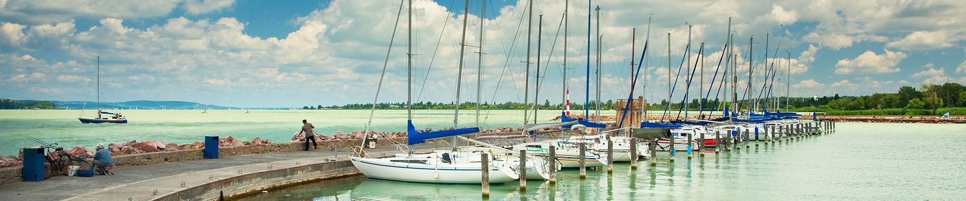 Header Image