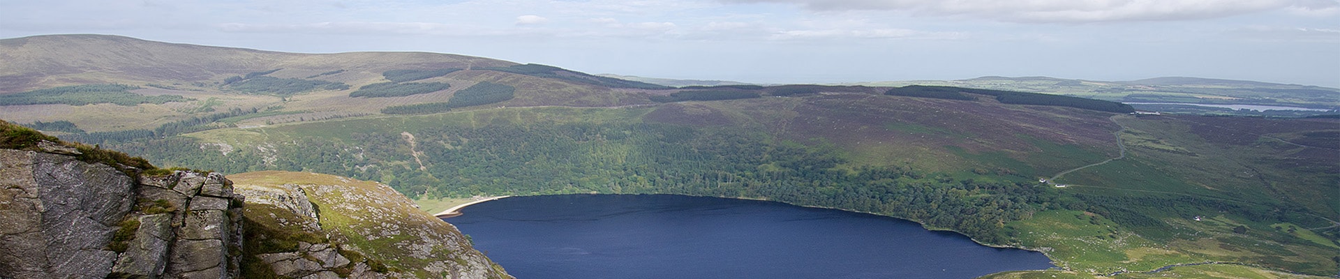 Header Image