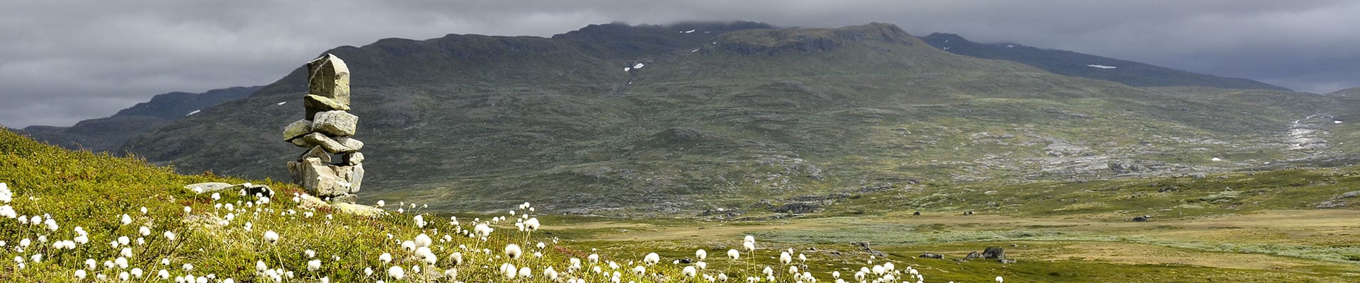 Header Image
