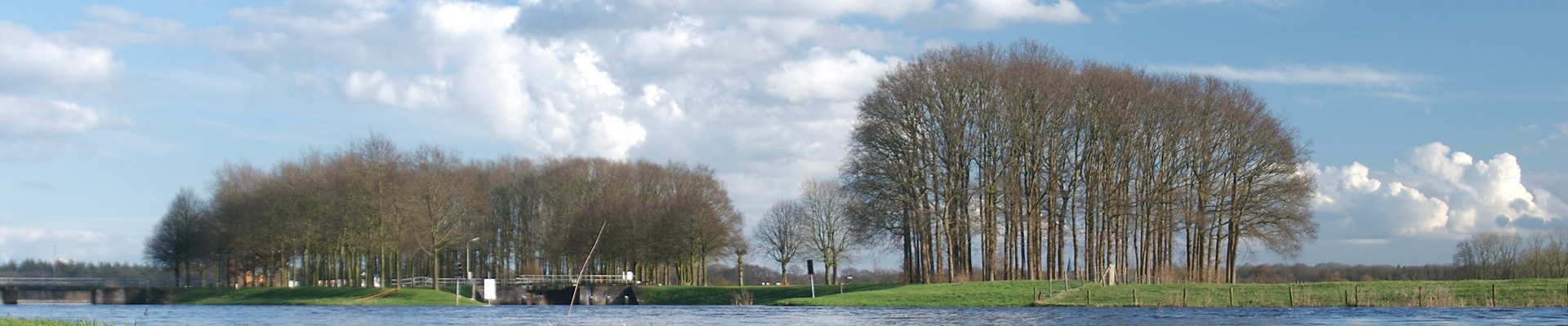 Header Image