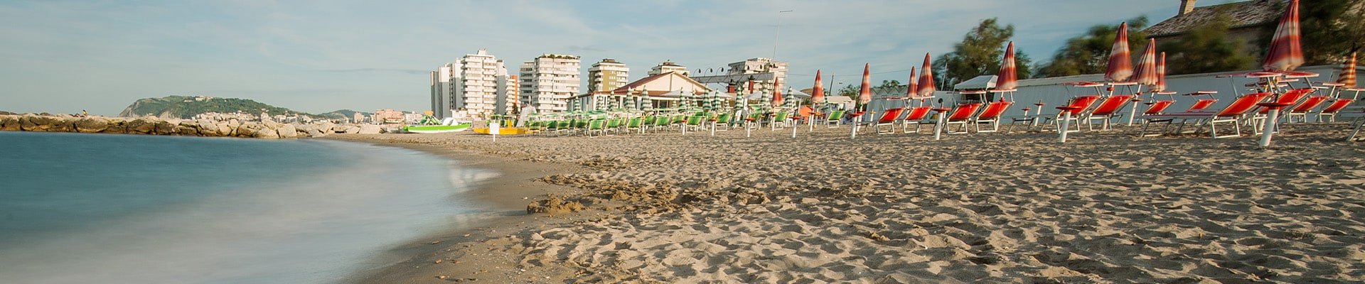 Header Image
