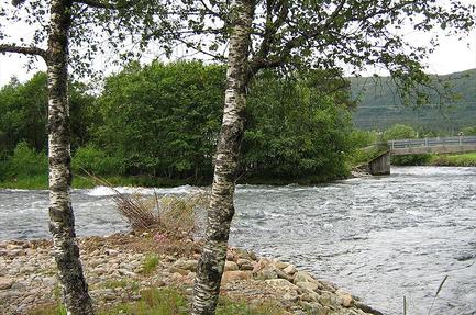 Jølstraholmen Camping og Hytter