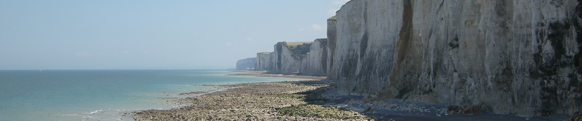Header Image