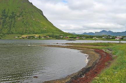 Lofoten Turistsenter