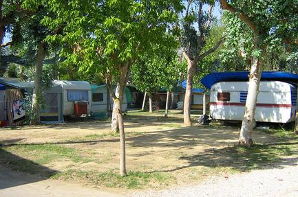 Camping Eucaliptus