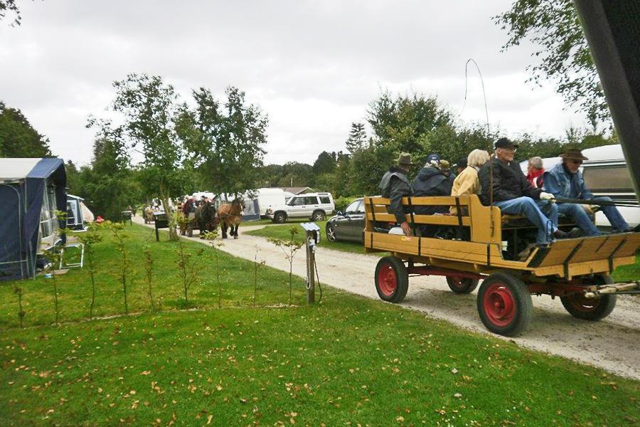 Rebild Camping Safari