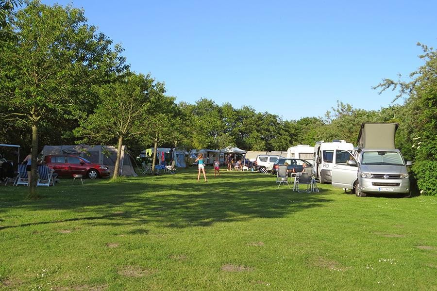 Campsite De Donkere Duinen