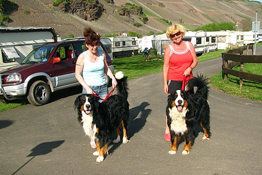Camping Erden
