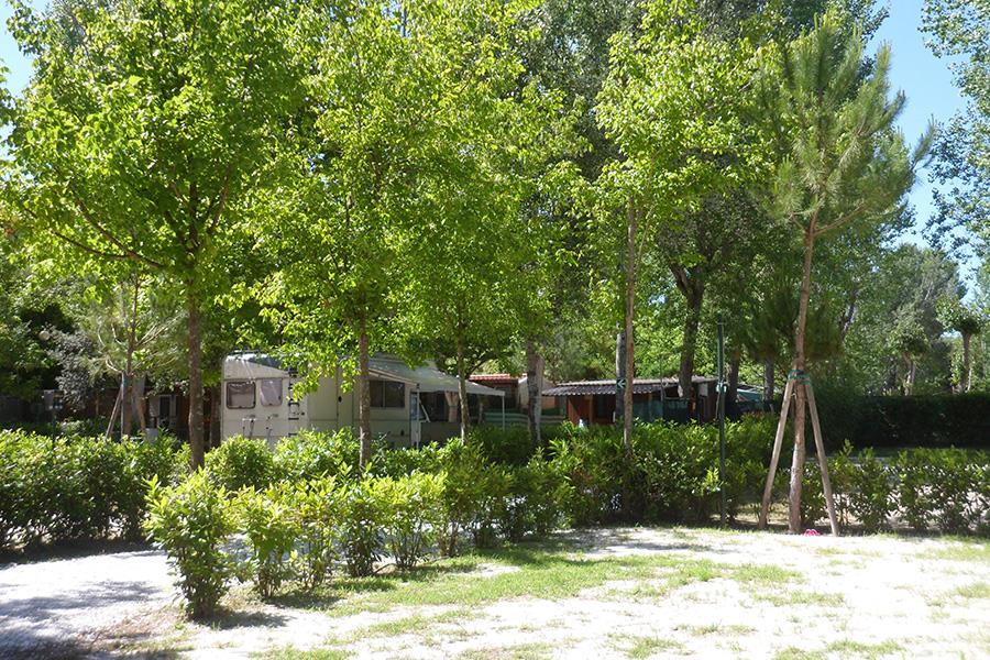 Bosco Verde Camping