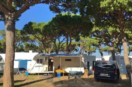 Camping Pinar San José