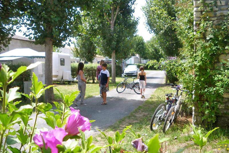 Campsite Le Maine