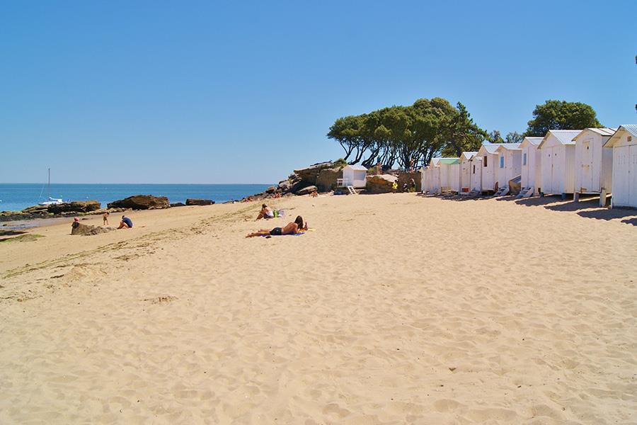 Camping Le Fief Angibaud