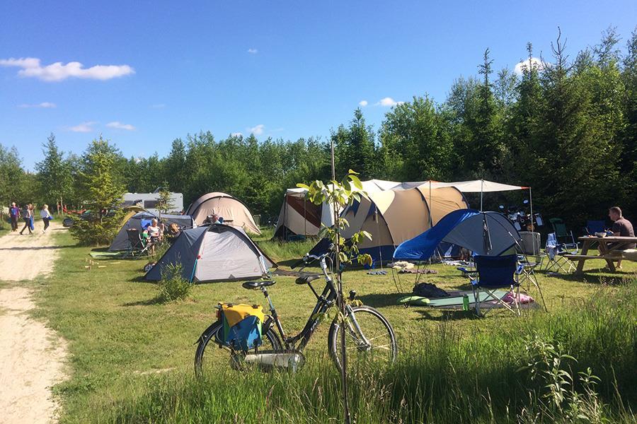 Campsite Netl de Wildste Tuin