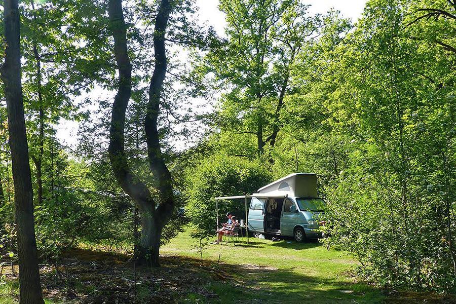 Natuurcamping Molenduin