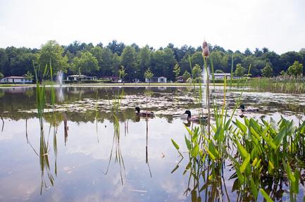 Vakantiepark Molenvelden