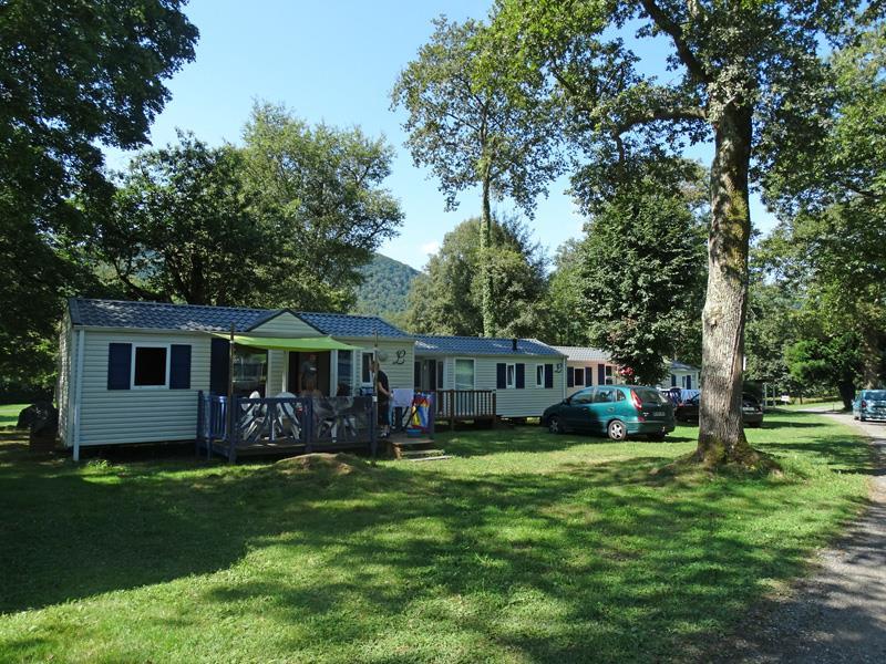 Campsite À l'Ombre des Tilleuls