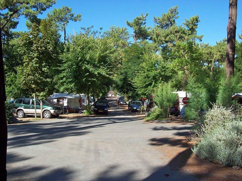 Camping Les Pins d'Oléron