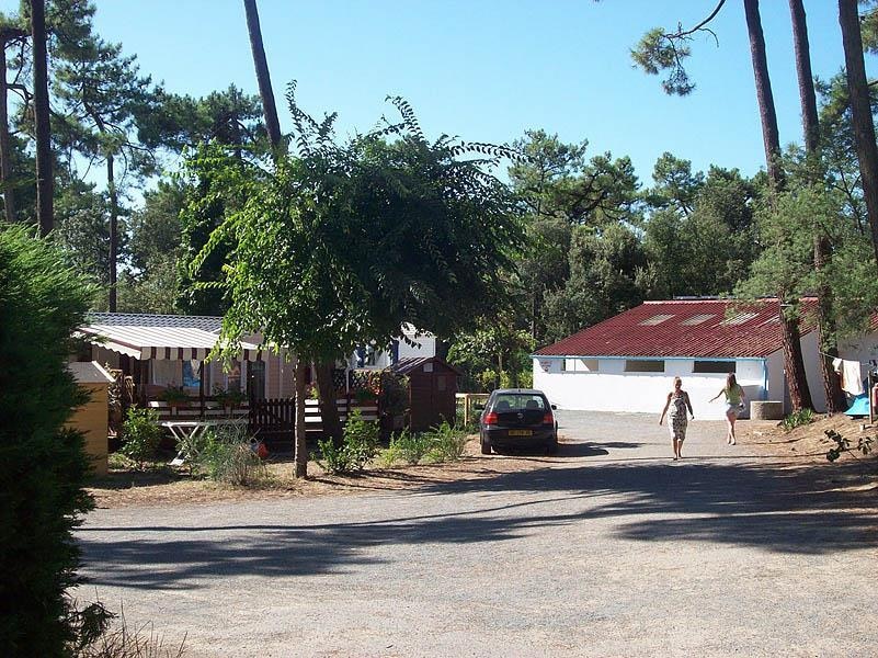 Camping Les Pins d'Oléron