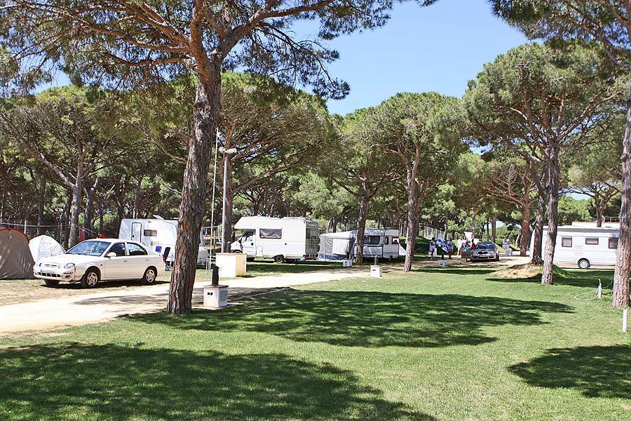 Camping Pinar San José