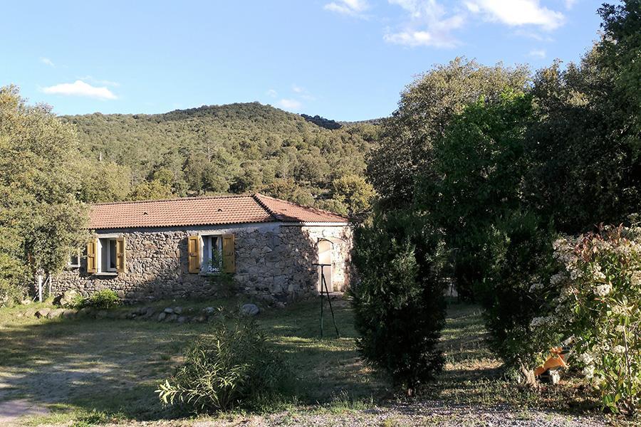 Camping e Canicce