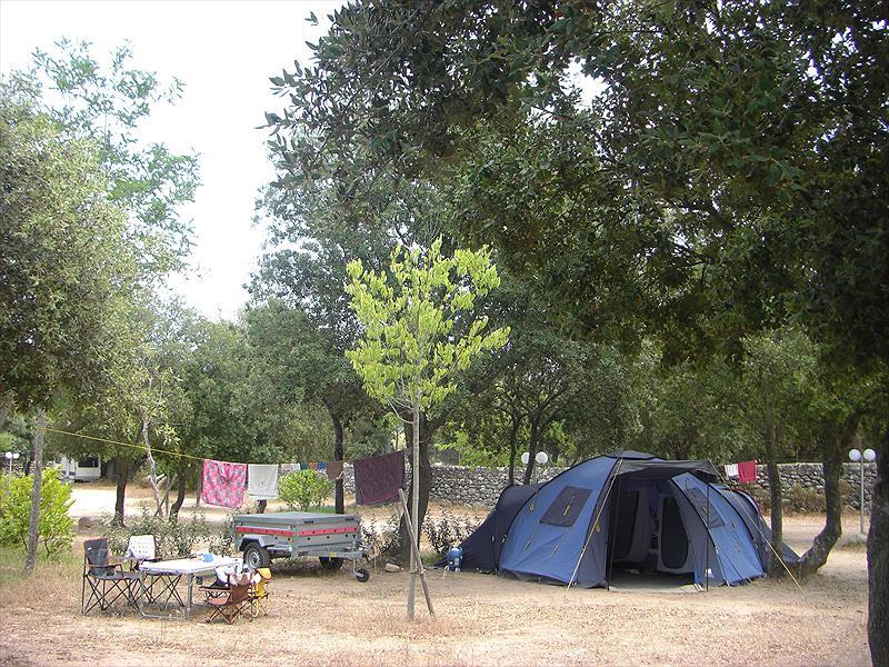 Camping e Canicce