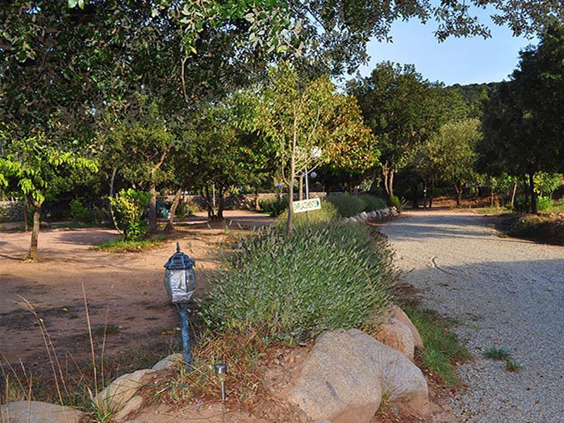 Camping e Canicce