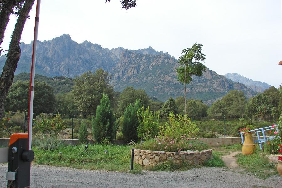 Camping e Canicce