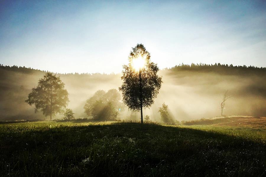 Ragnerudssjöns Camping & Stugby