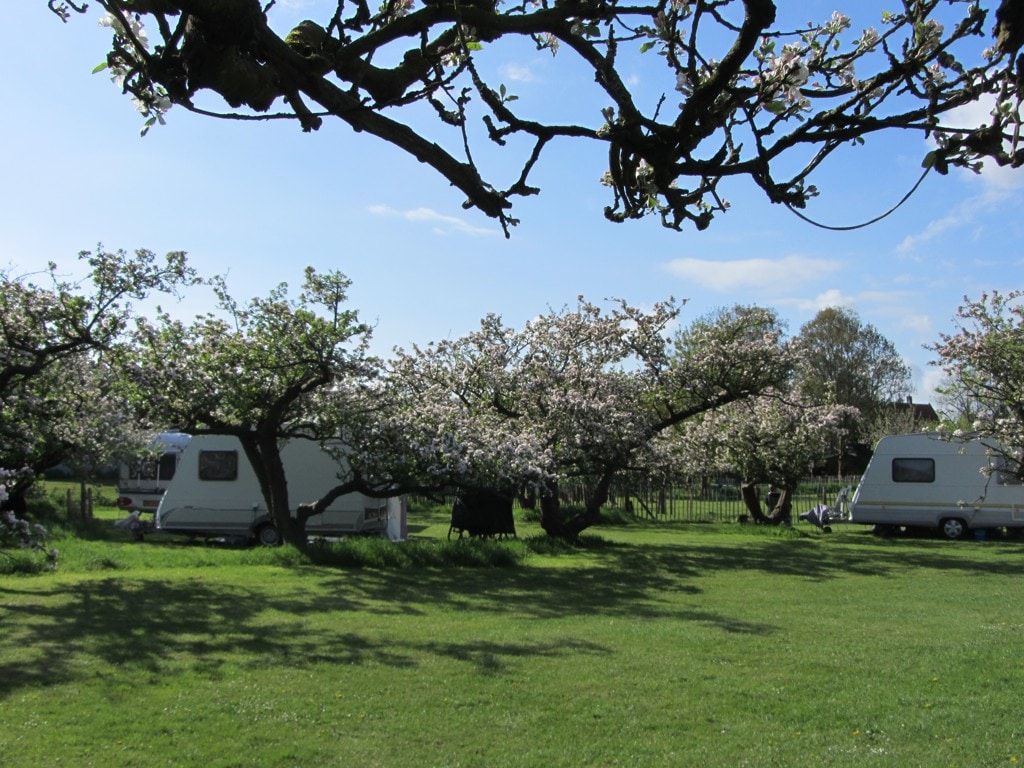 Camping In het Fruit in Zuidoostbeemster Nederland ACSI