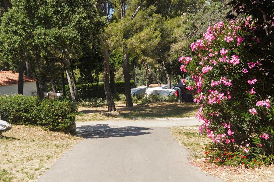 Campsite Le Clos Ste Thérèse