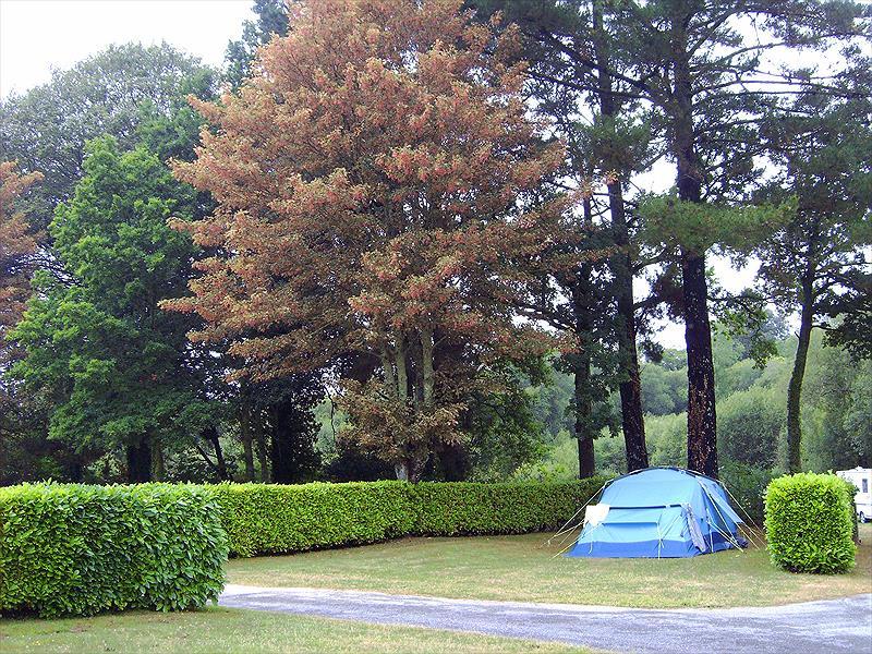 Campsite Les Genets d'Or