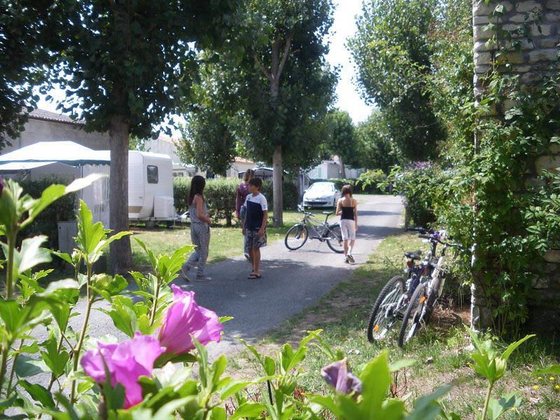 Camping Le Maine