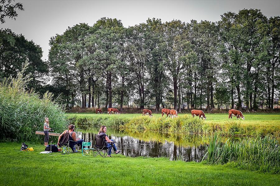 Vakantiepark Mölke