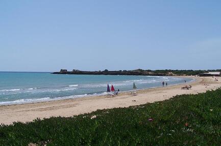 Scarabeo Camping