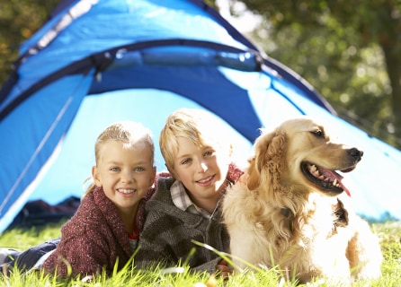 Campings avec chiens autorisés