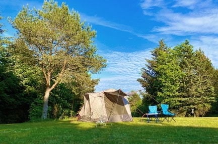 Tolne Camping