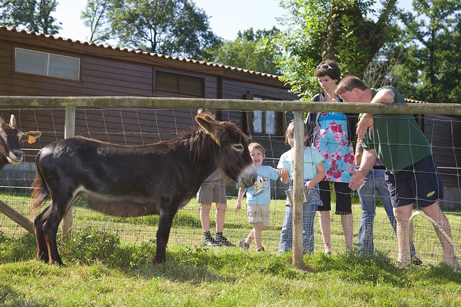 Camping Les Monts d'Albi