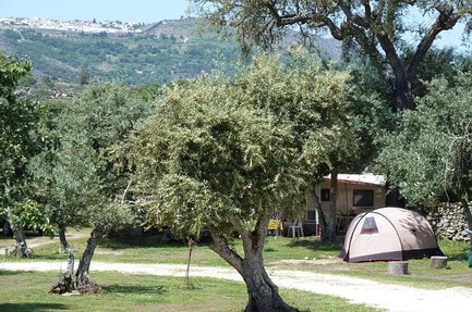 Camping Asseiceira