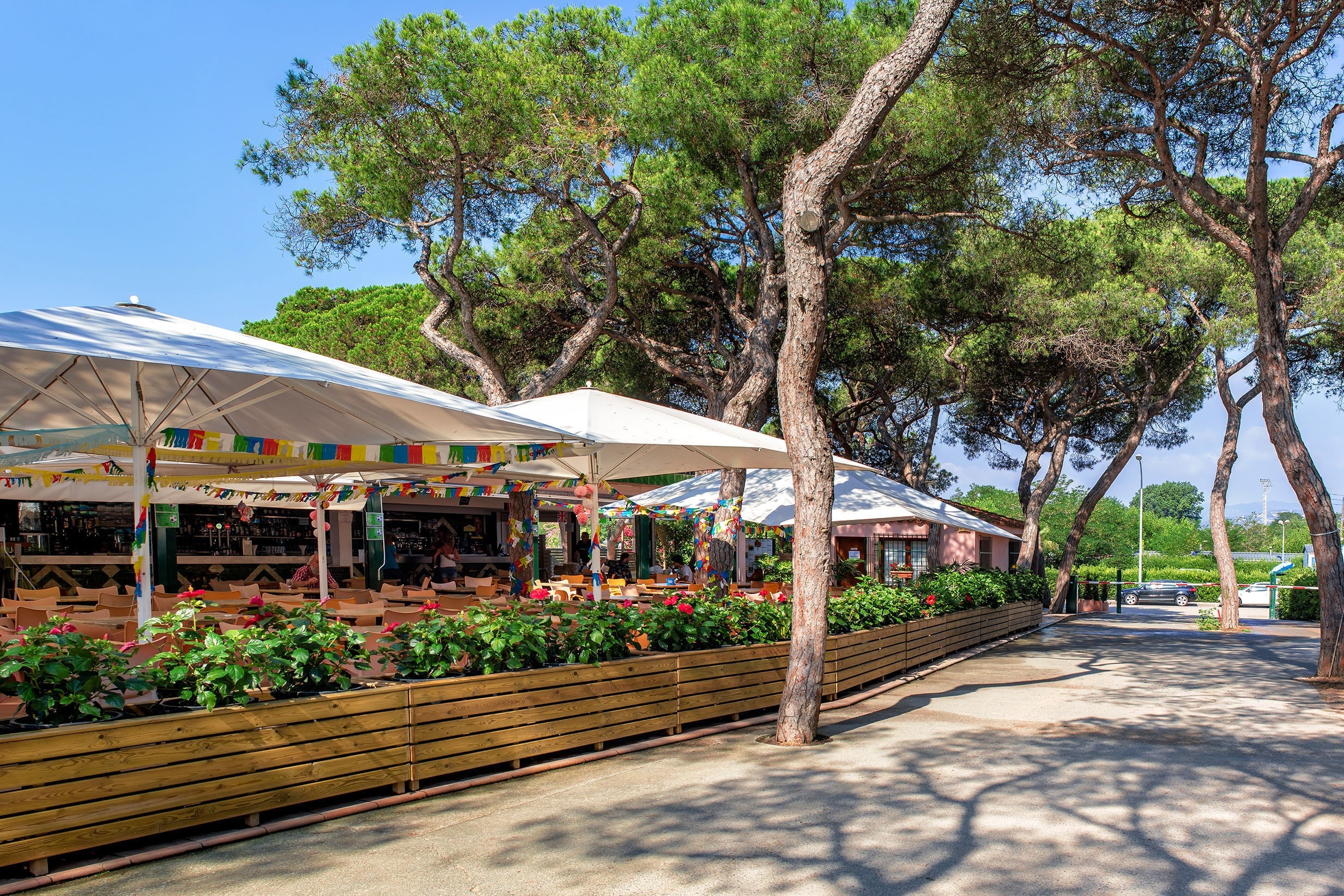 Camping Alannia El Pinar