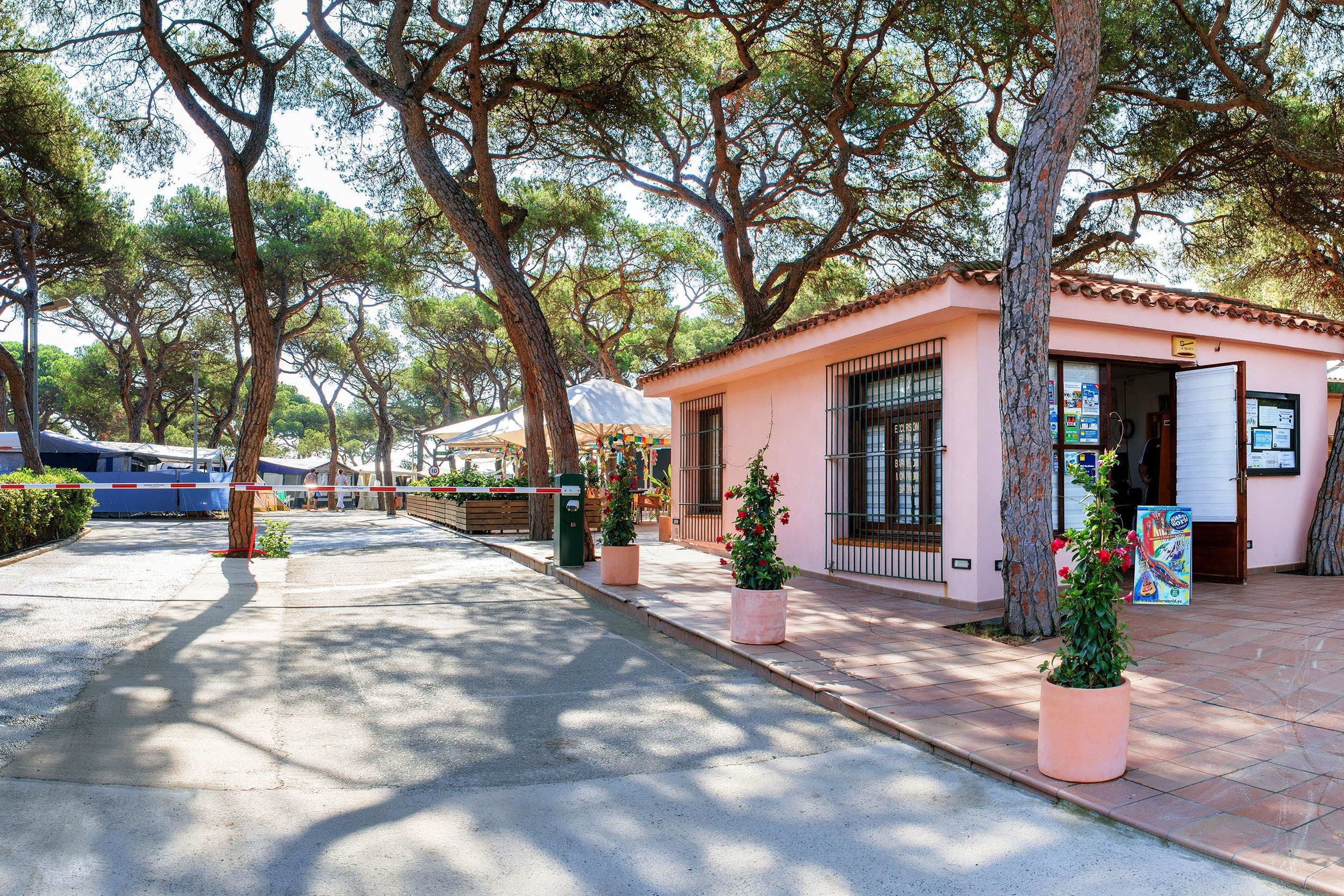 Camping Alannia El Pinar