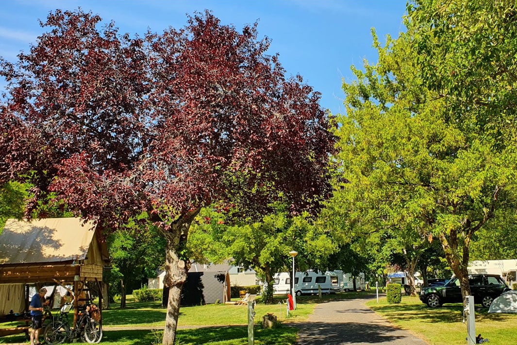 camping Camping Les Patîs