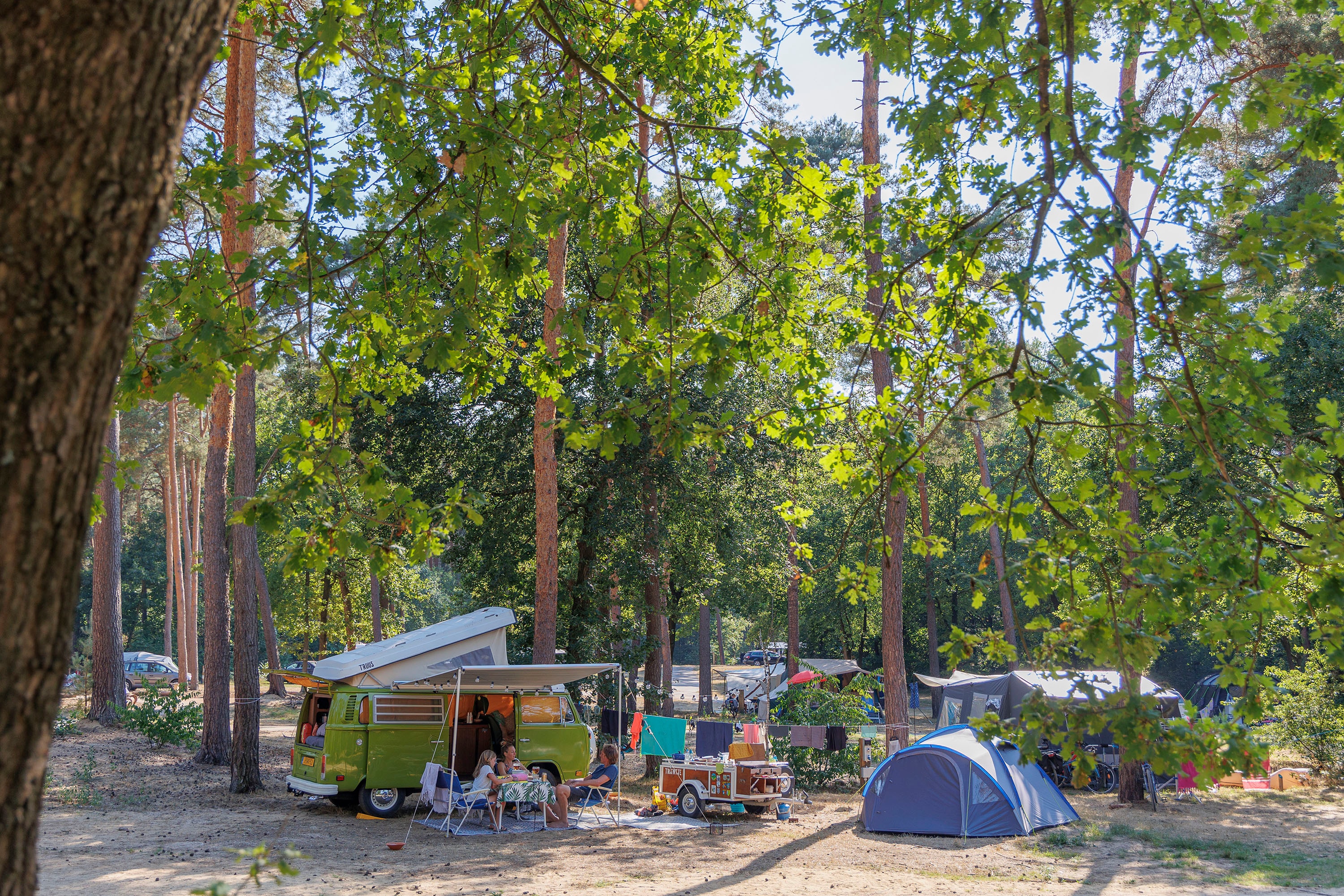 camping Camping Huttopia De Meinweg