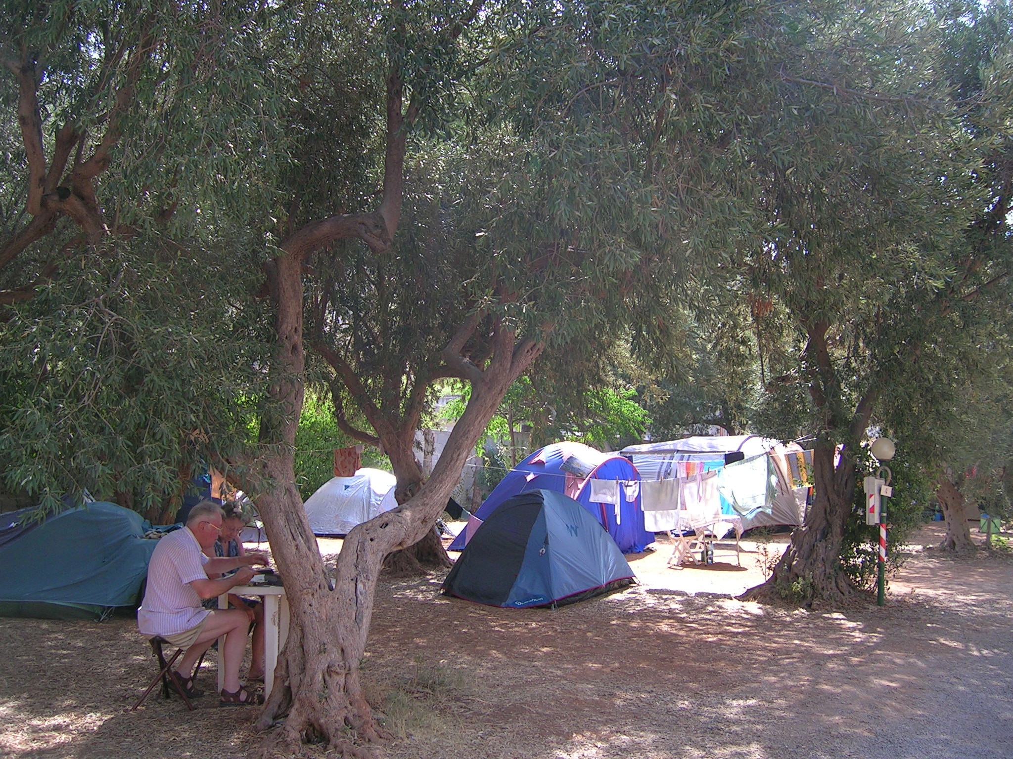 Camping Degli Ulivi