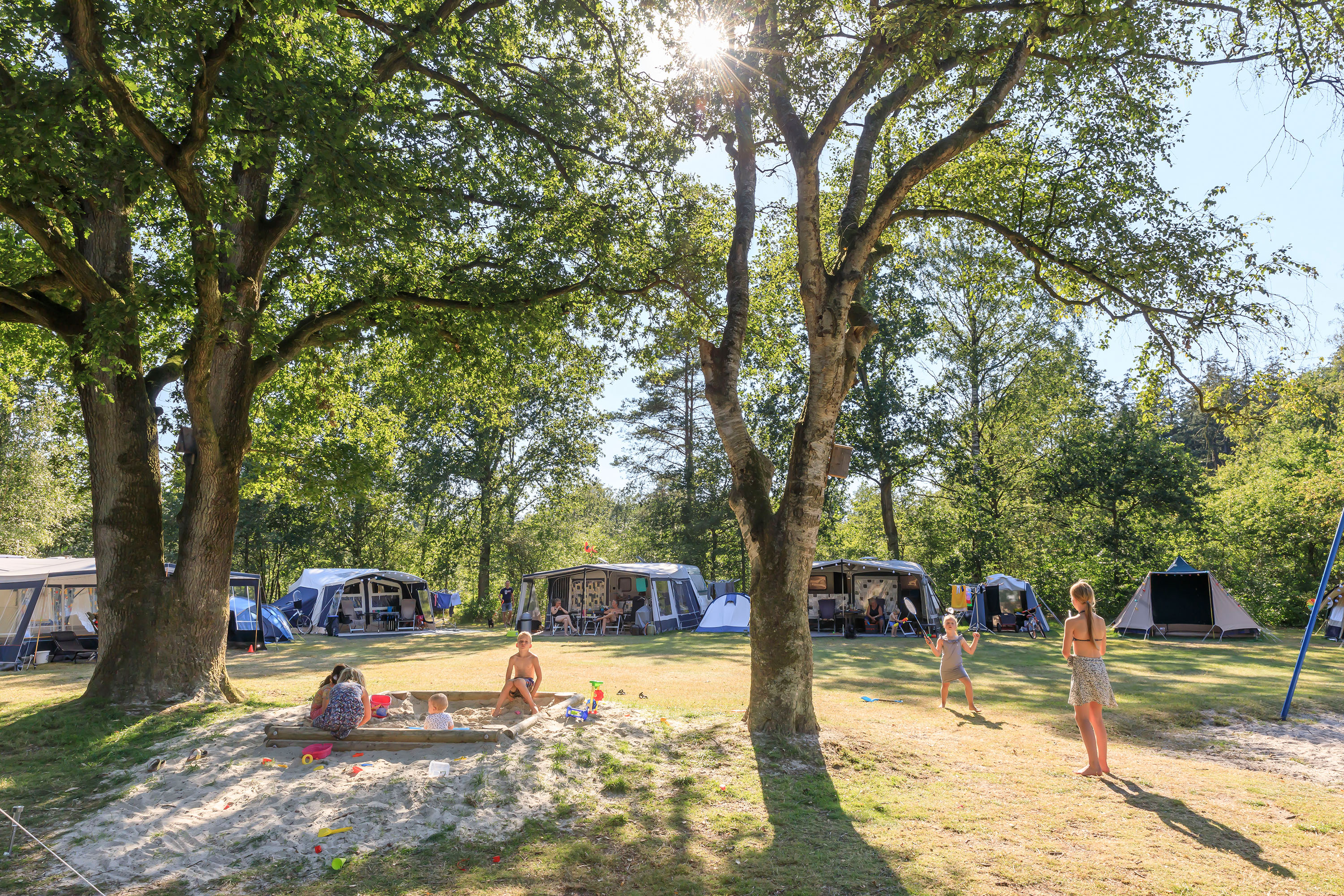 camping RCN de Roggeberg
