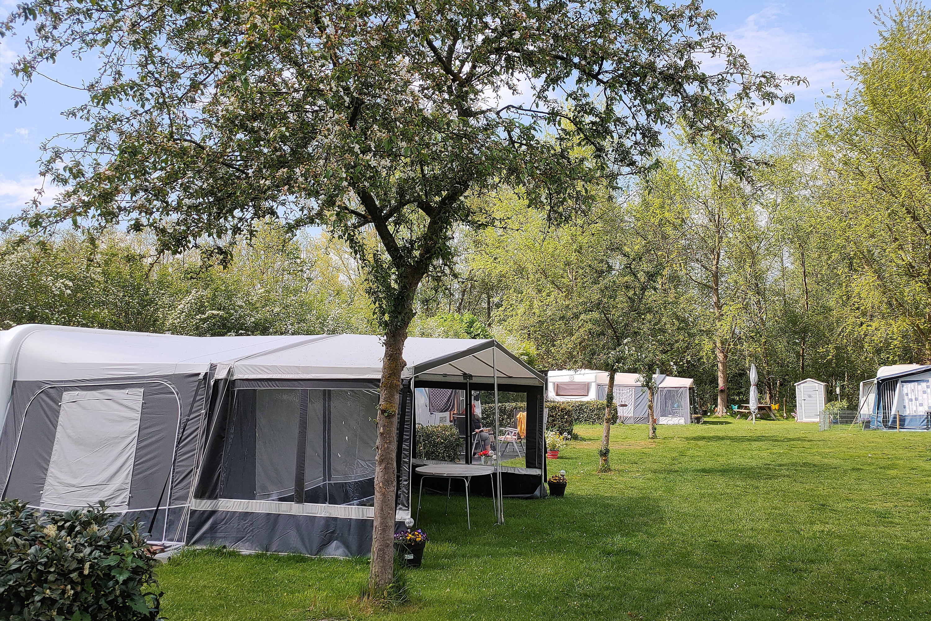 camping Camping De Zwammenberg