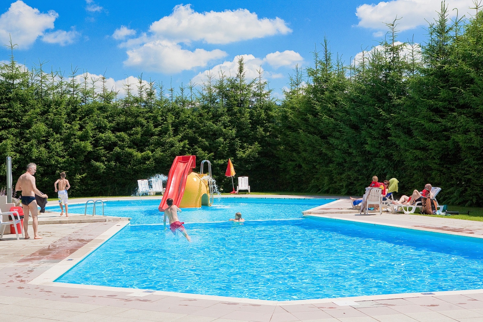 ArdenParks Petite Suisse