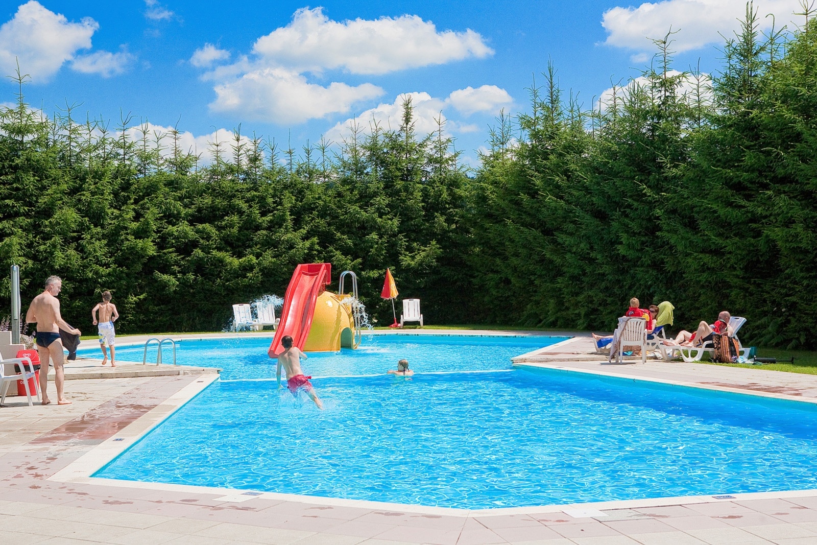 ArdenParks Petite Suisse